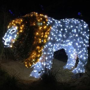 Meet your Posher, Cristina